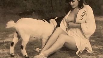 Classic Taboo: Pussy And Dog Play In A Retro Video
